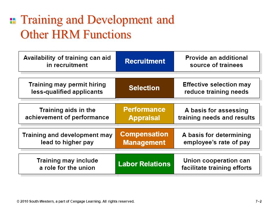 Managing the Learning and Development Function
